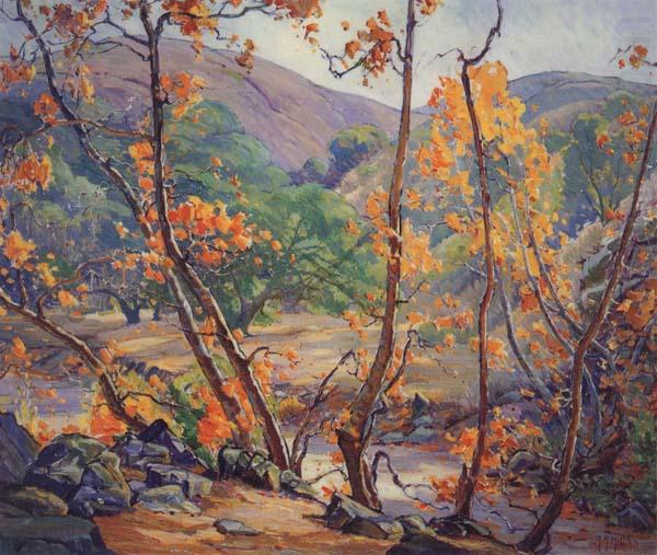 Sycamores,n.d., Anna Hills